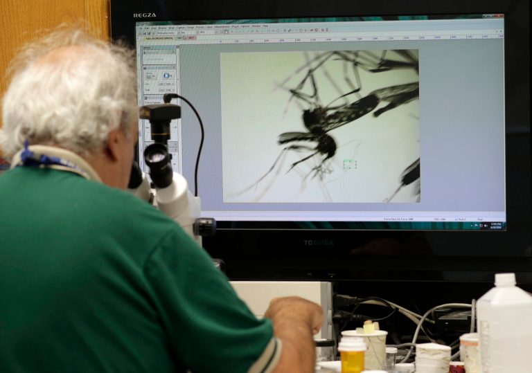 The bill would allow that spending only in the next fiscal year, which starts Oct. 1. (AP Photo/Lynne Sladky)