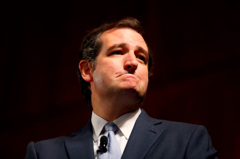 Sen. Ted Cruz, R-Texas, said he could bend the Democrats in the Senate to turn against Obamacare, which didn't happen. (AP/Daniel Sangjib Min)