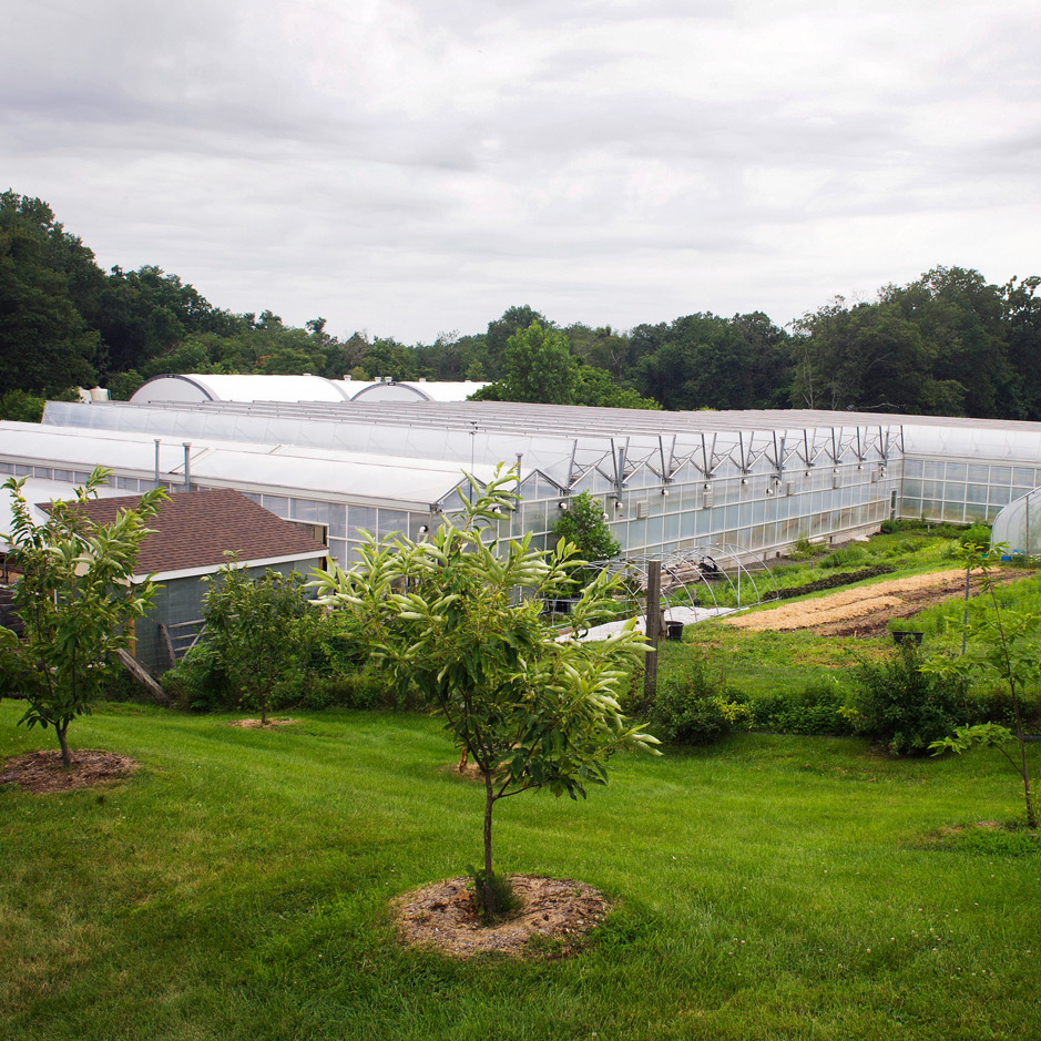 But What Do We Know?