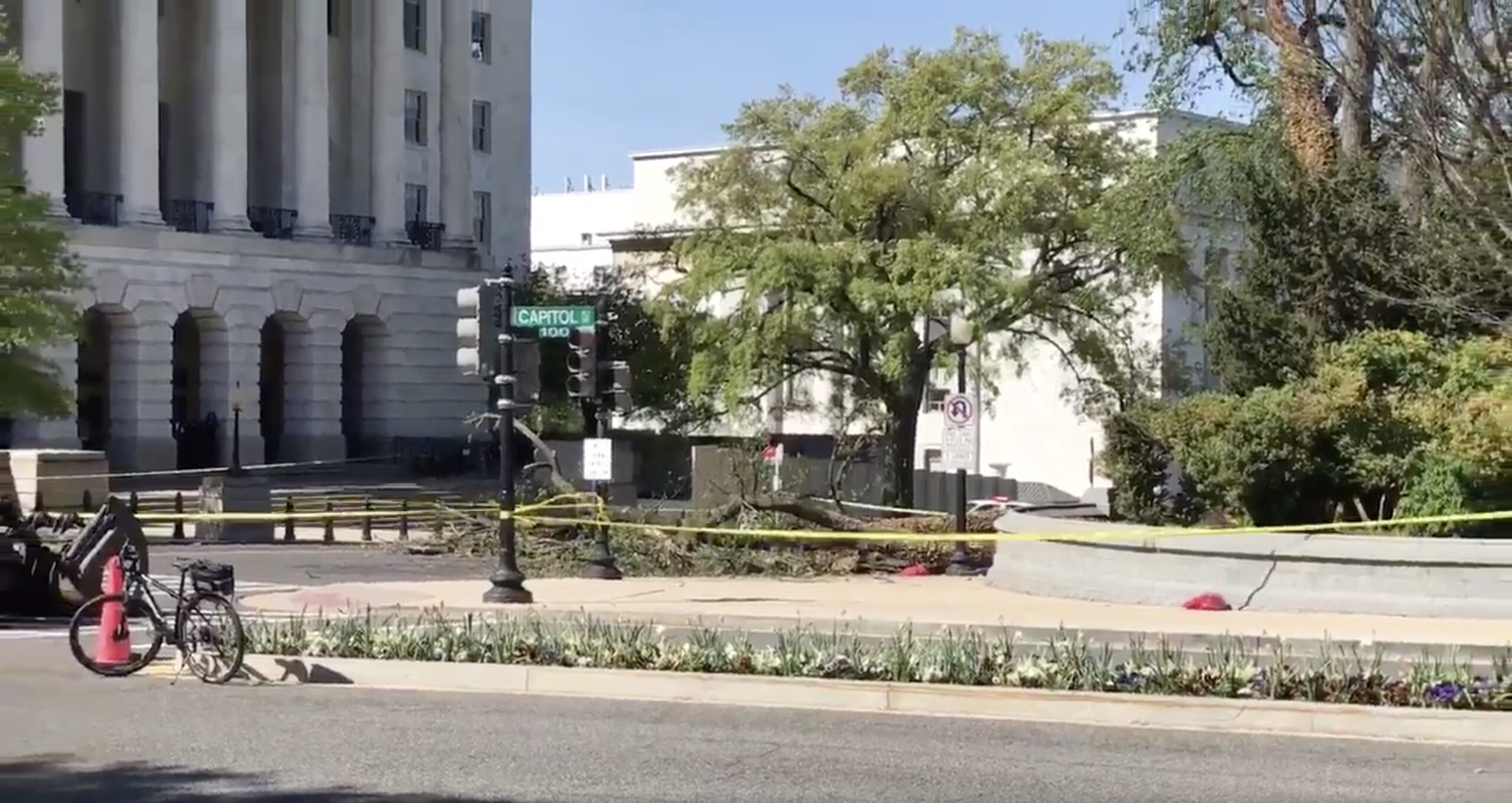 Maintenance worker killed after tree falls on him on Capitol grounds