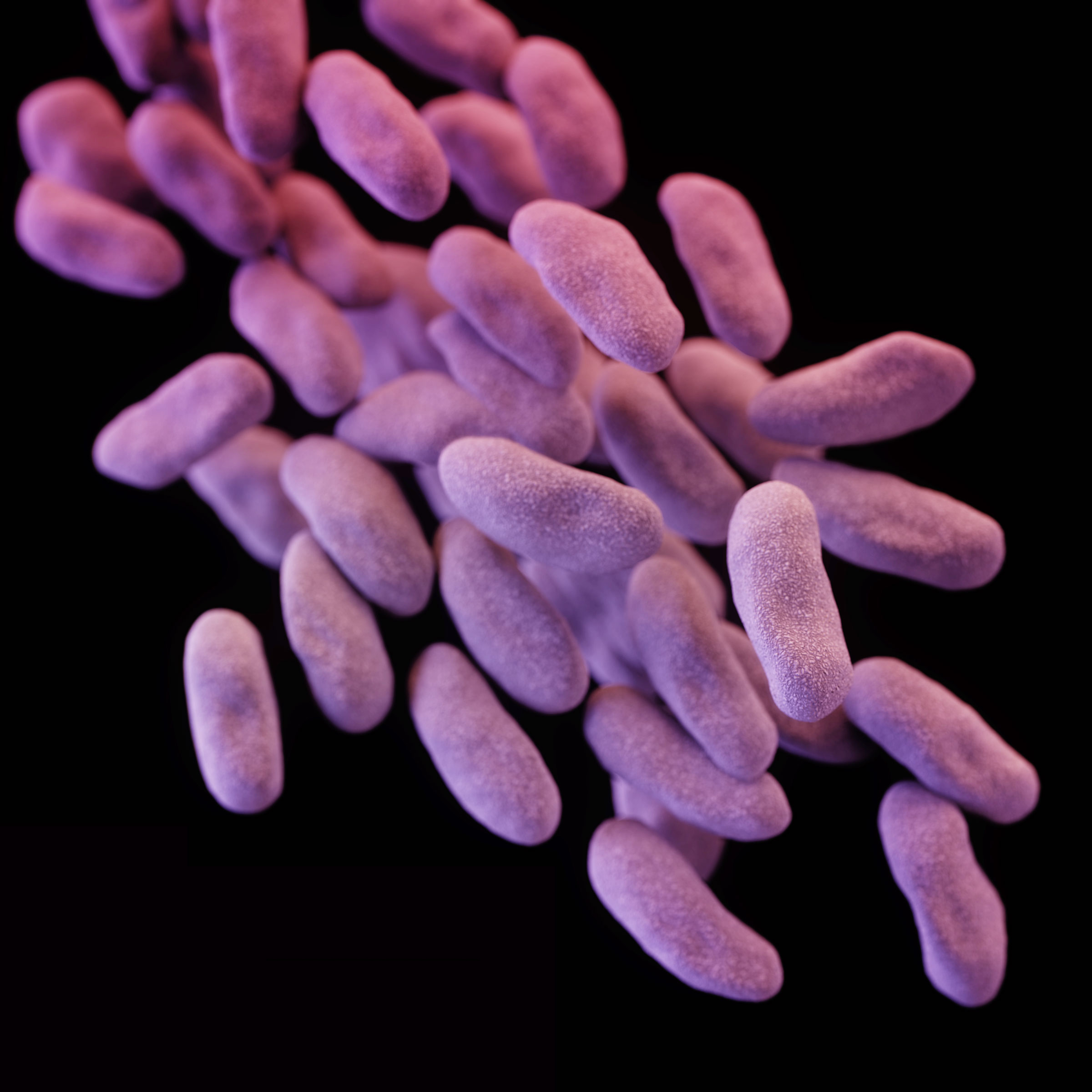 ‘Nightmare’ superbug may be on the rise