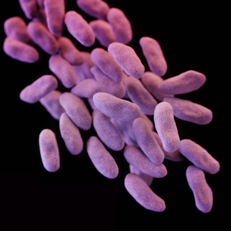 The Centers for Disease Control and Prevention released a new study Thursday offering the first definitive account of U.S. cases of a strain of carbapenem-resistant enterobacteriaceae, which is commonly referred to as 