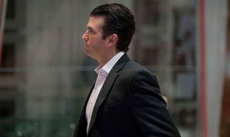 President Trump's eldest son acknowledged he met with Russian attorney Natalia Veselnitskaya in June 2016 after she had offered to turn over damaging information about Clinton (AP Photo/Andrew Harnik)
