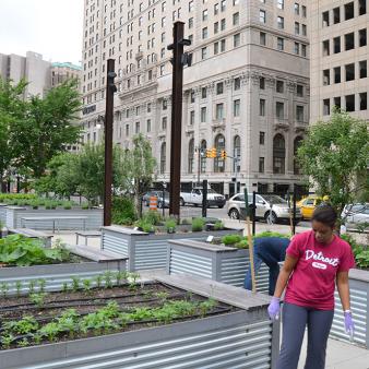 Back from Bankruptcy