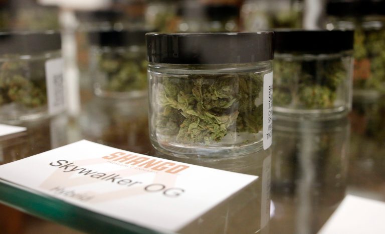 Oregon has raked in $6.84 million so far from January and February recreational pot sales. (AP Photo/Timothy J. Gonzalez, File)