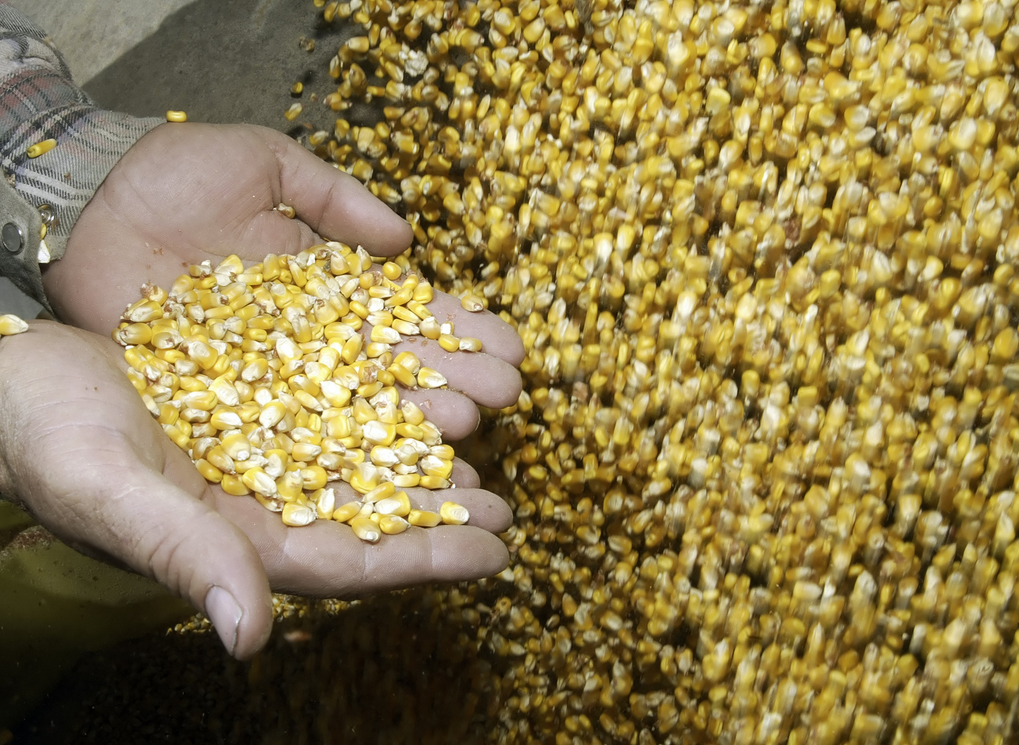 Ethanol industry has EPA as ally in battle against Big Oil