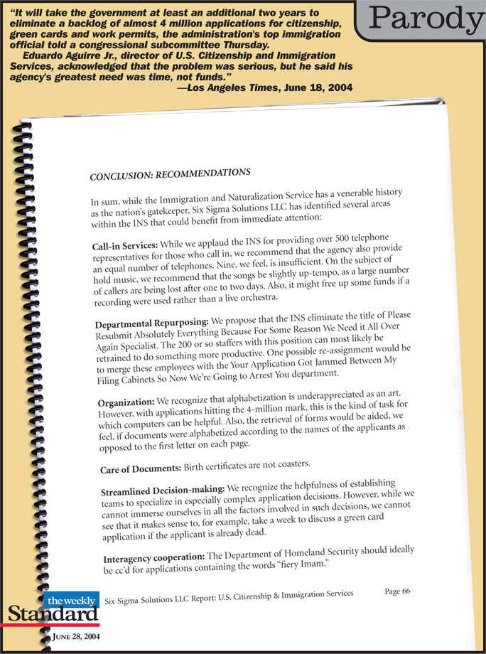 Management consulting report to the INS.