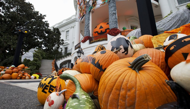 Halloween decorations adorned the South Portico awaiting trick-or-treaters during previous years' White House Halloween celebrations. This year the White House will welcome parents and kids from schools in Maryland, Virginia, and the District of Columbia to trick-or-treat on the South Lawn on Monday. (AP Photo/Jacquelyn Martin)