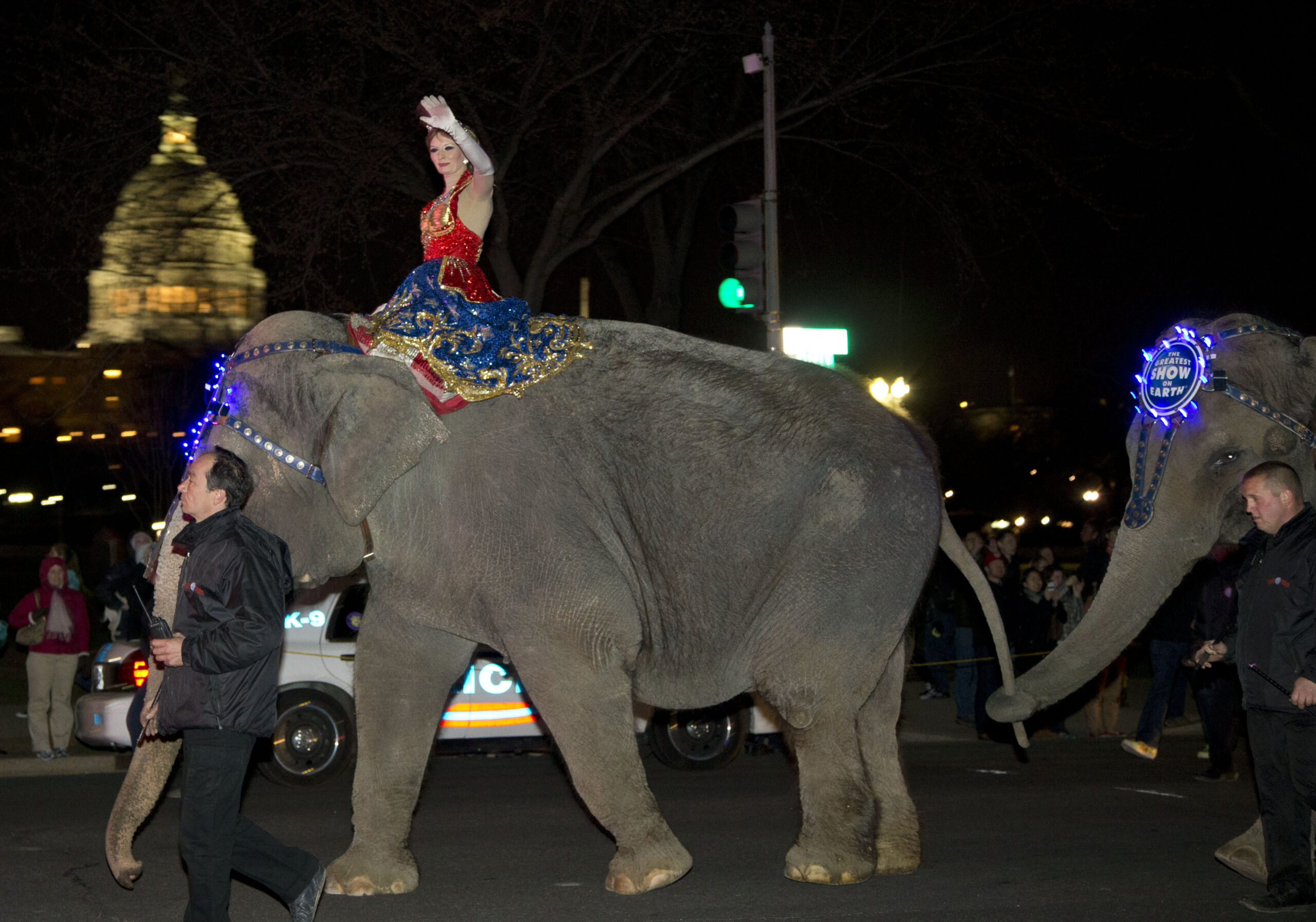 Animal groups agree to pay nearly $16M to Ringling