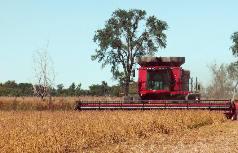 FILE - In this Oct. 1, 2013 file photo, a farmer harvests a field of soybeans near Sioux Falls, S.D. The latest report from the Agriculture Department estimates South Dakota's soybean crop up 7 percent from 2013 and North Dakota's soybean crop up 37 percent. (AP Photo/Carson Walker, File)