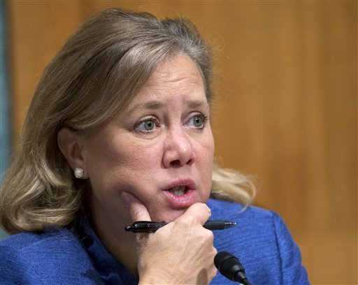 Analysis: Louisiana’s Mary Landrieu stung by rollout of health law