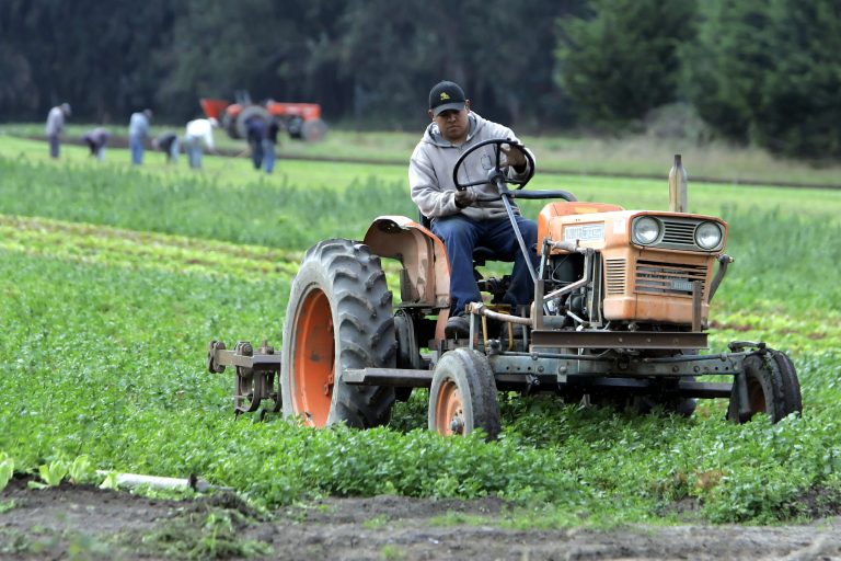 EPA says the update to the Agricultural Worker Protection Standards it announced Monday would cover the two million farm workers and their families who are stricken by thousands of cases of pesticide exposure each year.Â (AP Photo/Eric Risberg, File)