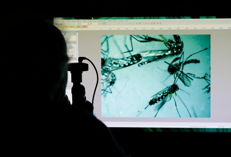 Majorities of voters in both parties want more investment in Zika. Eighty percent of Democrats and 66 percent of Republicans said more money should be spent on prevention efforts. (AP Photo)