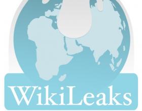 The Open Society and Its Enemy: WikiLeaks