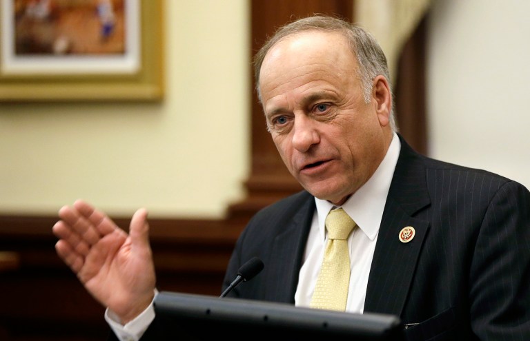 Republican Rep. Steve King of Iowa said Friday that no undocumented immigrants should be permitted to stay in the country during a Trump presidency. (AP Photo/Charlie Neibergall, File)