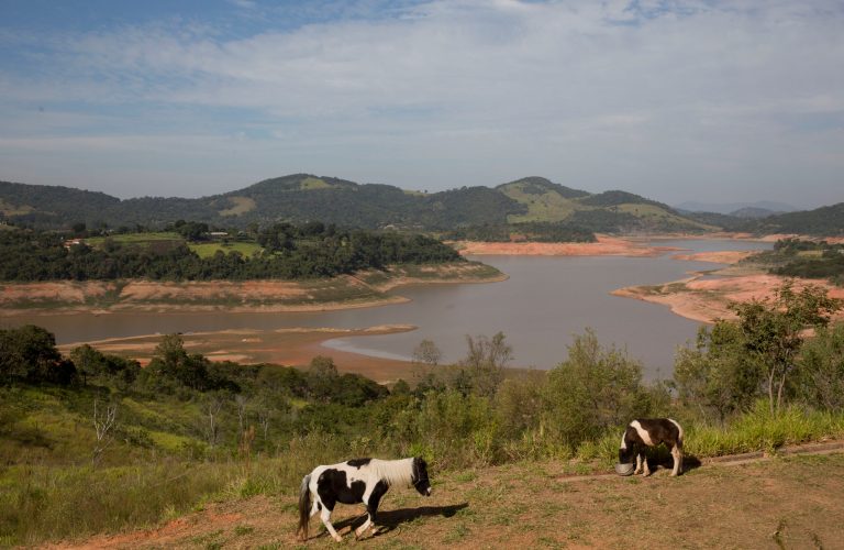 In this May 14, 2014 photo, a horse walks in a field near the Jaguari dam, which is part of the Cantareira System, responsible for providing water to the Sao Paulo metropolitan area, in Braganca Paulista, Brazil. The worst drought in more than 80 years is hitting Sao Paulo, Brazil's largest city just as it prepares for the tens of thousands of foreigners expected at the tournament opener. (AP Photo/Andre Penner)