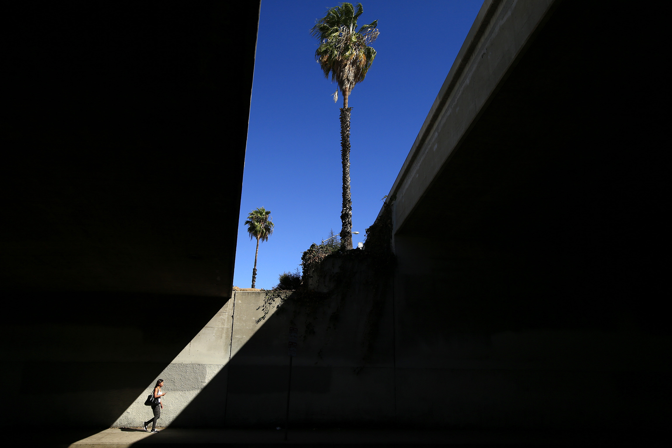 California mayor bans Trump from campaigning in her city