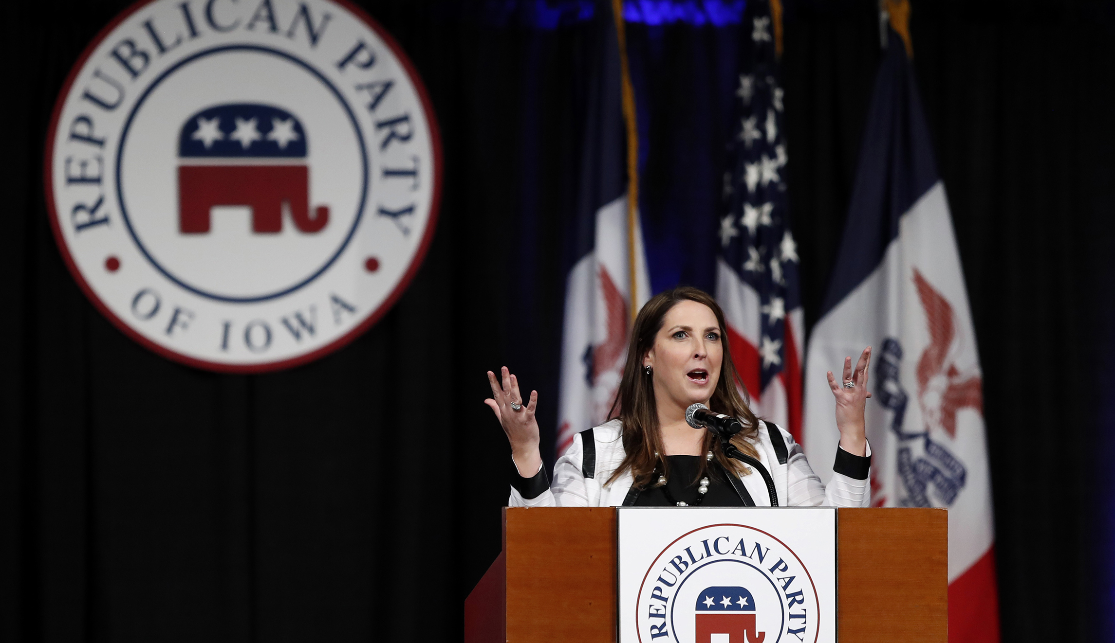 RNC members optimistic as they gird for midterms