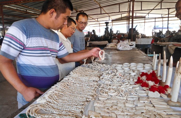 Ivory for sale in Angola; big tuskers die in Kenya
