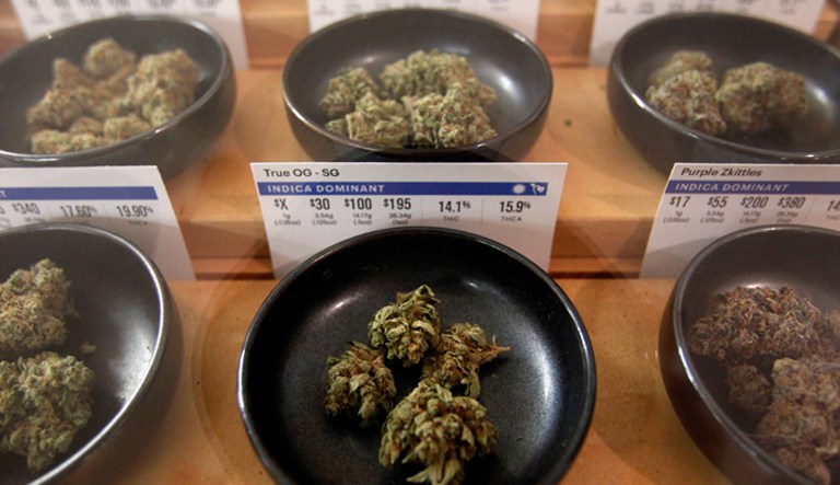 These policies don't just hurt the marijuana industry. They hurt everyone and take away rightful powers from the states. (AP Photo/Mathew Sumner)