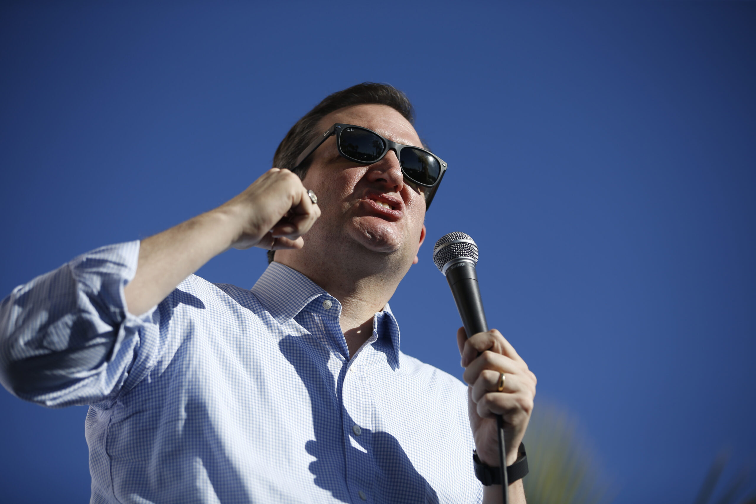 Poll: Cruz beating Trump by 8 points in Texas