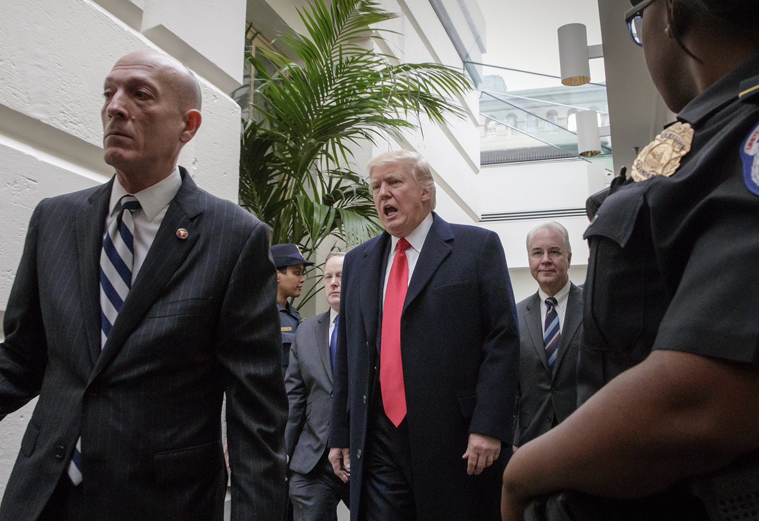 Trump uses anonymous sources to blame healthcare bill woes on Paul Ryan