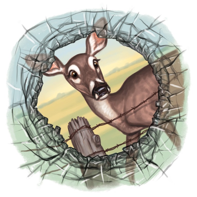 Cruisin’ for a Bruisin’