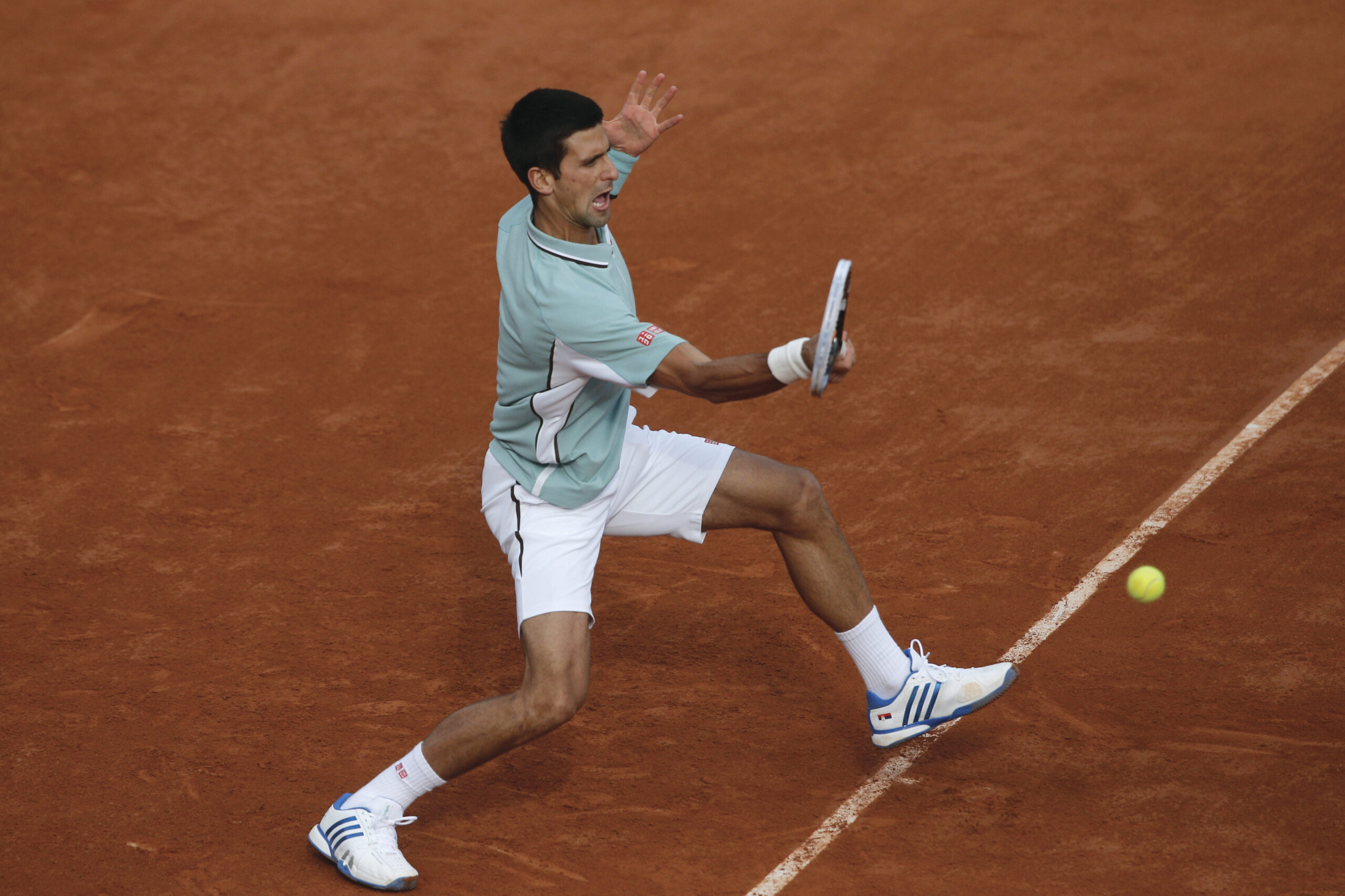 Novak Djokovic has a career Grand Slam in his sights