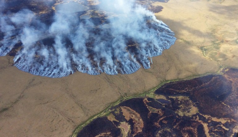 Congress designated the 19-million-acre Arctic National as a wildlife refuge in 1980. (Matt Snyder/Alaska Division of Forestry via AP, File)
