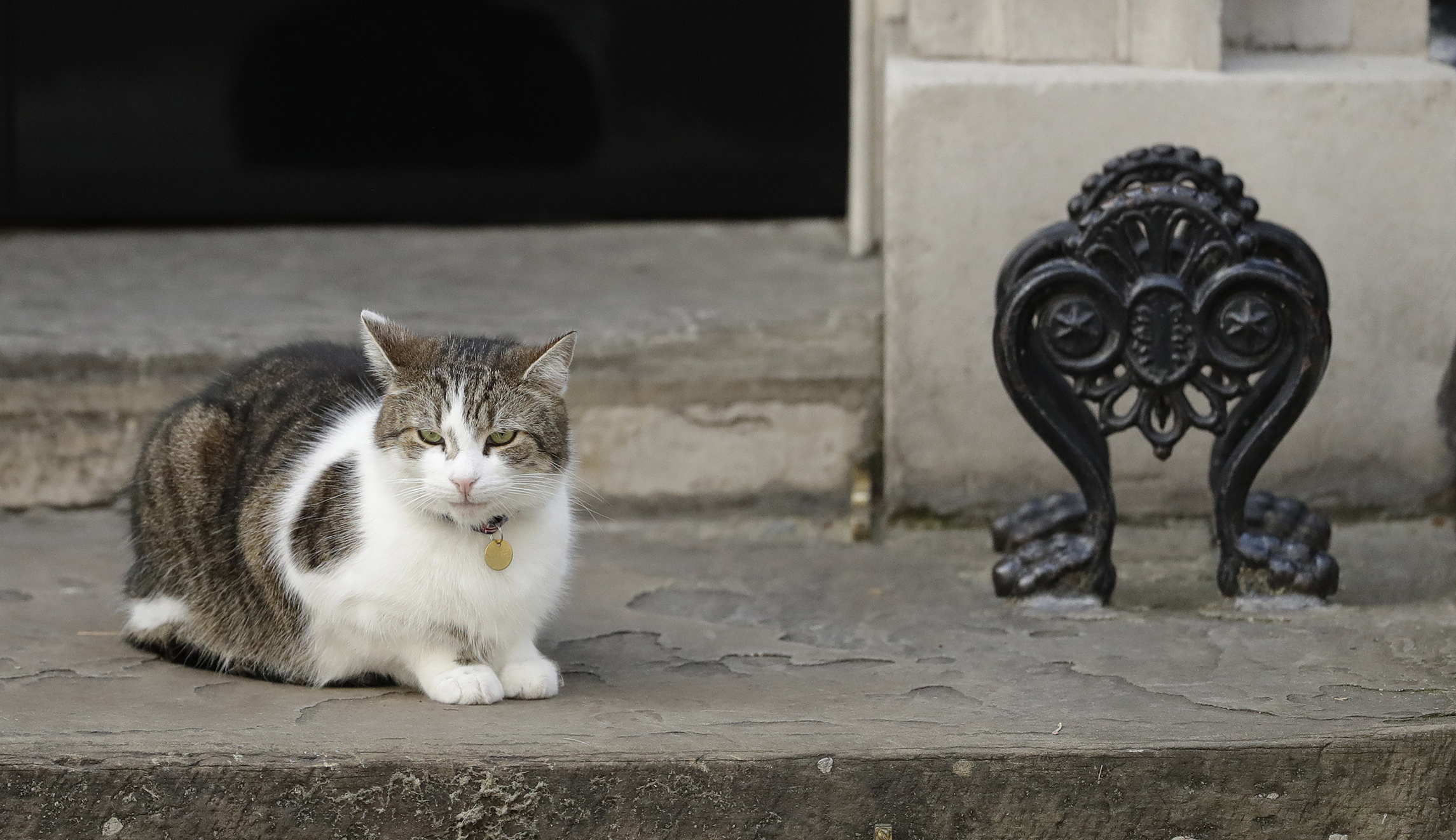 Michael Barone: British MPs’ CATastrophic proposal