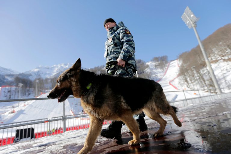 A Russian security forces K-9 officer patrols with his dog near the finish area of the Alpine ski course ahead of the 2014 Sochi Winter Olympics, Tuesday, Feb. 4, 2014, in Krasnaya Polyana, Russia. (AP Photo/Gero Breloer)