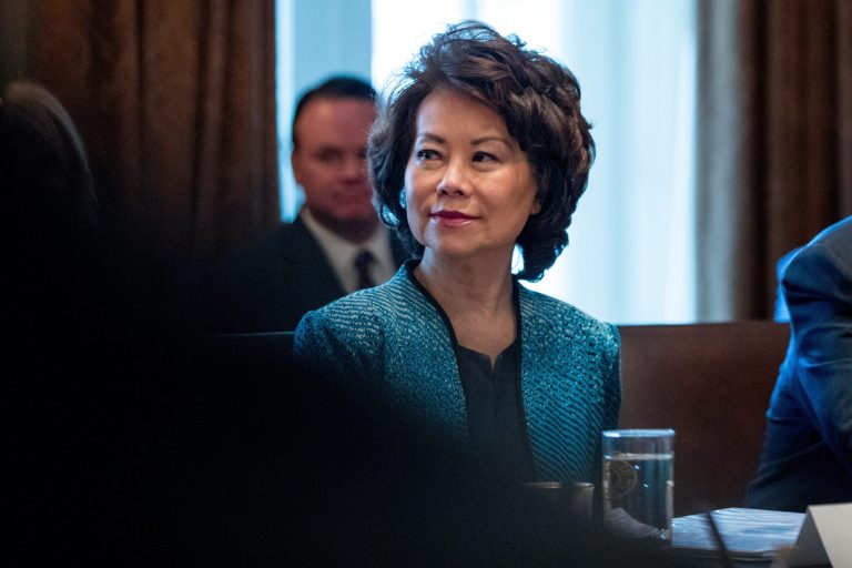Transportation Secretary Elaine Chao says President Trump's $1 trillion infrastructure plan will be released this year. (AP Photo/Andrew Harnik)