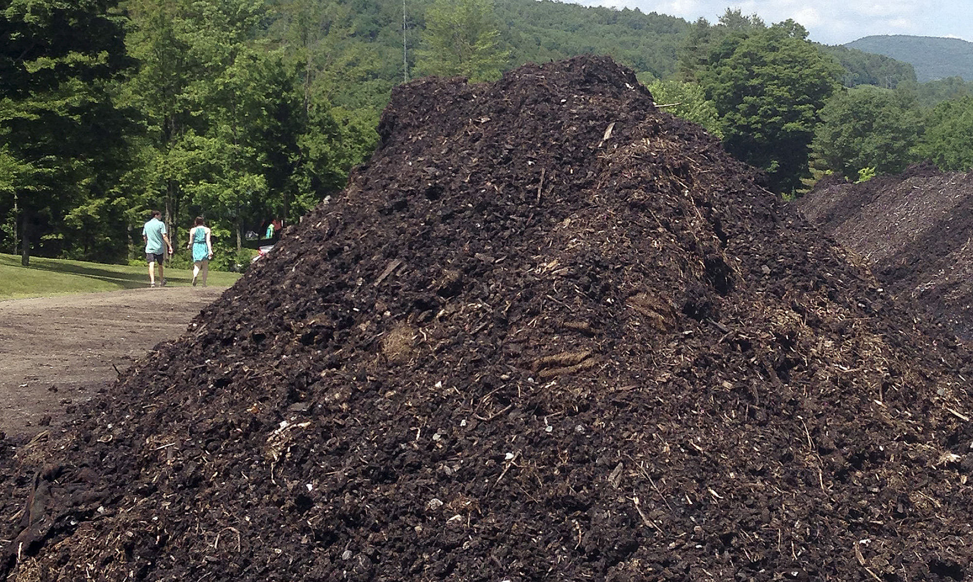 37 farm, forestry projects share $1.1 million