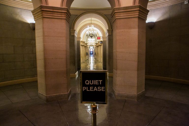 Seven provisions of the Omnibus deal will help encourage more speech or put a halt to various efforts to increase regulation of political speech via the executive branch. (Graeme Jennings/Examiner)