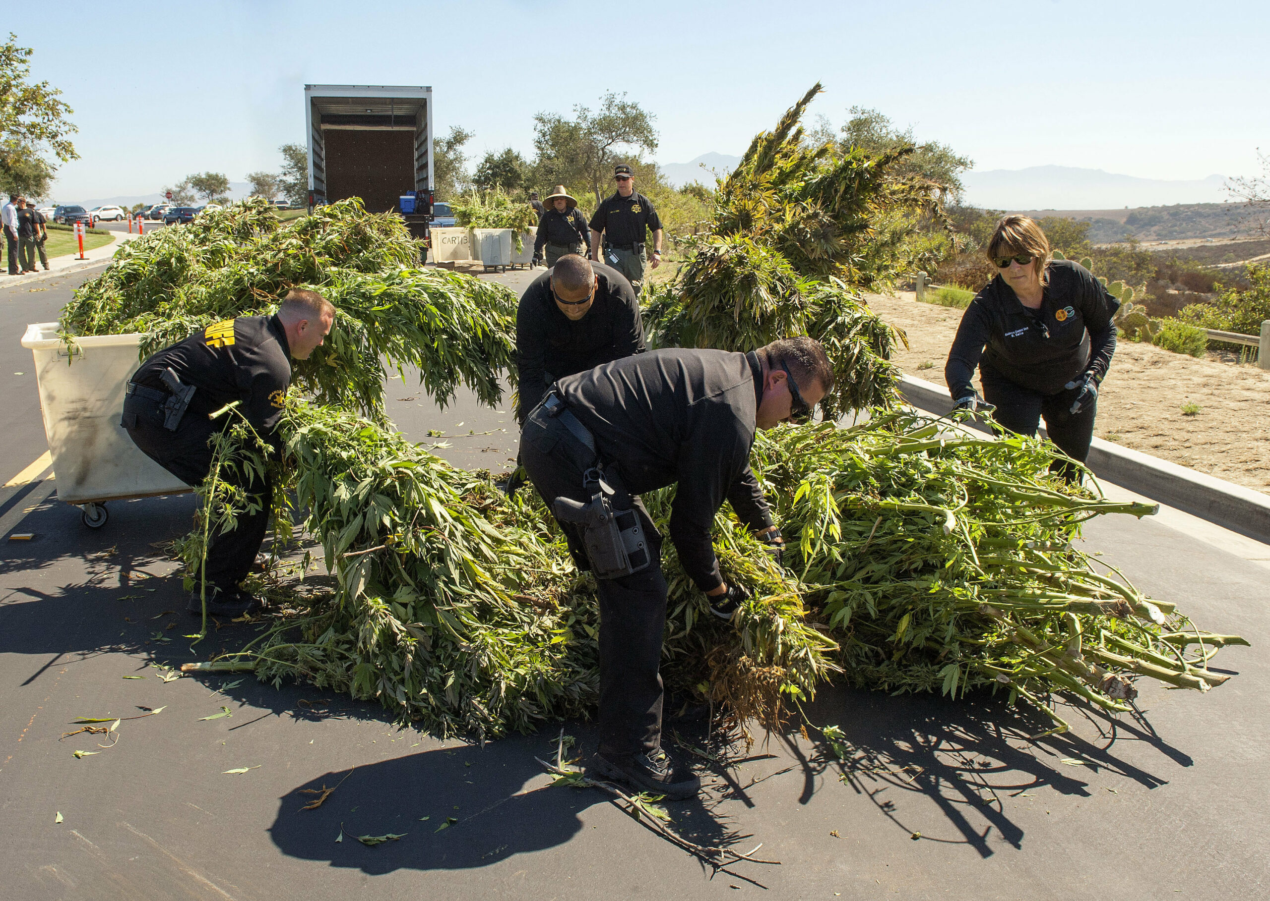Thousands of pot plants ripped out of park