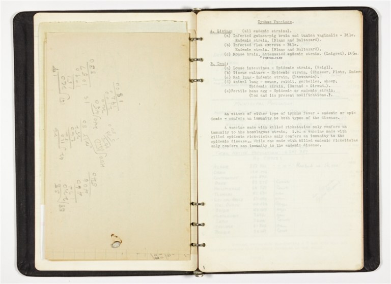 Flashback: US spread typhus fever to Muslims in WWII