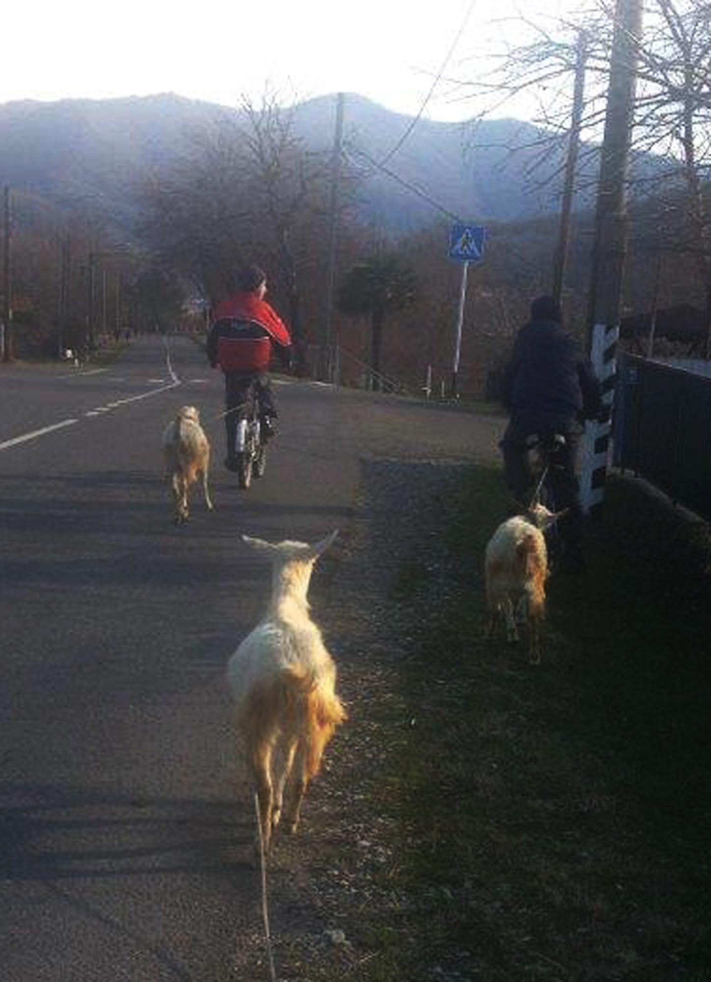 Olympics divide Sochi’s indigenous Circassians