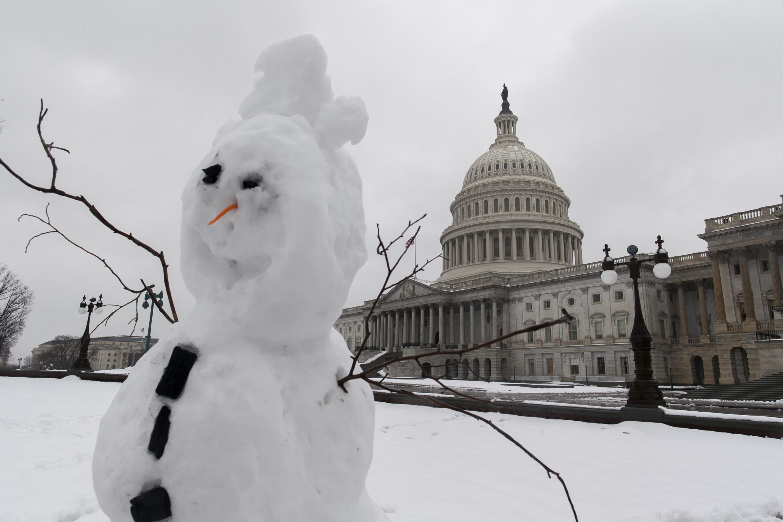 Put these 2015 weather predictions on your refrigerator door!