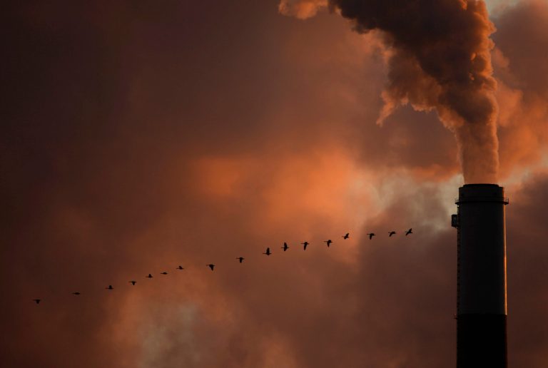 FILE - In this Saturday, Jan. 10, 2009, file photo, a flock of geese fly past a smokestack at the Jeffery Energy Center coal power plant near Emmitt, Kan. Hundreds of corporations, insurance companies and pension funds are calling on world leaders gathering for a U.N. summit on climate change this week to attack the problem by making it more costly for businesses to pollute. (AP Photo/Charlie Riedel, File)