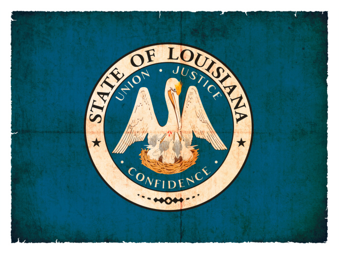 Can a Louisiana Tea Partier beat the GOP establishment choice?