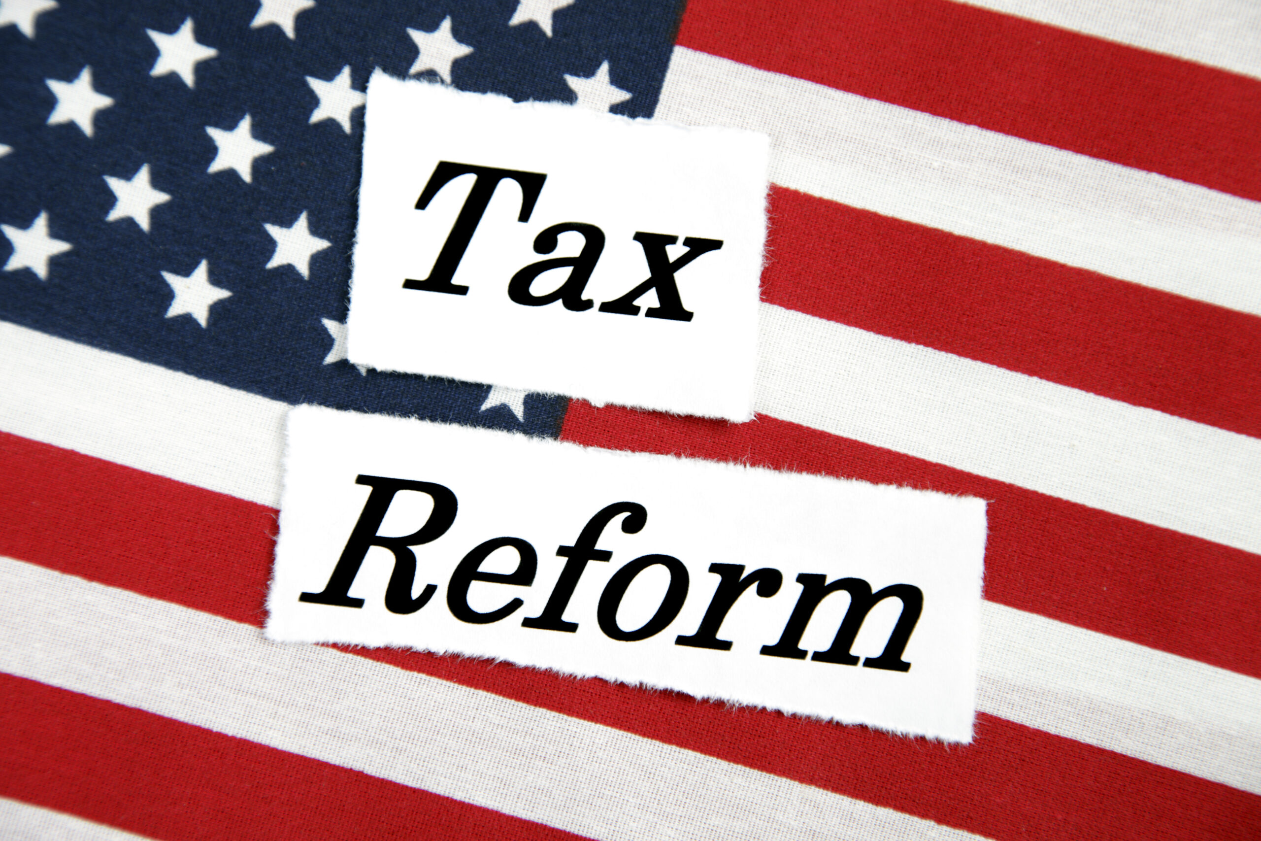 Small business needs big tax reform, too