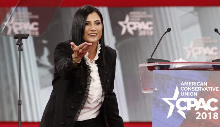 Dana Loesch, spokeswoman for the National Rifle Association.