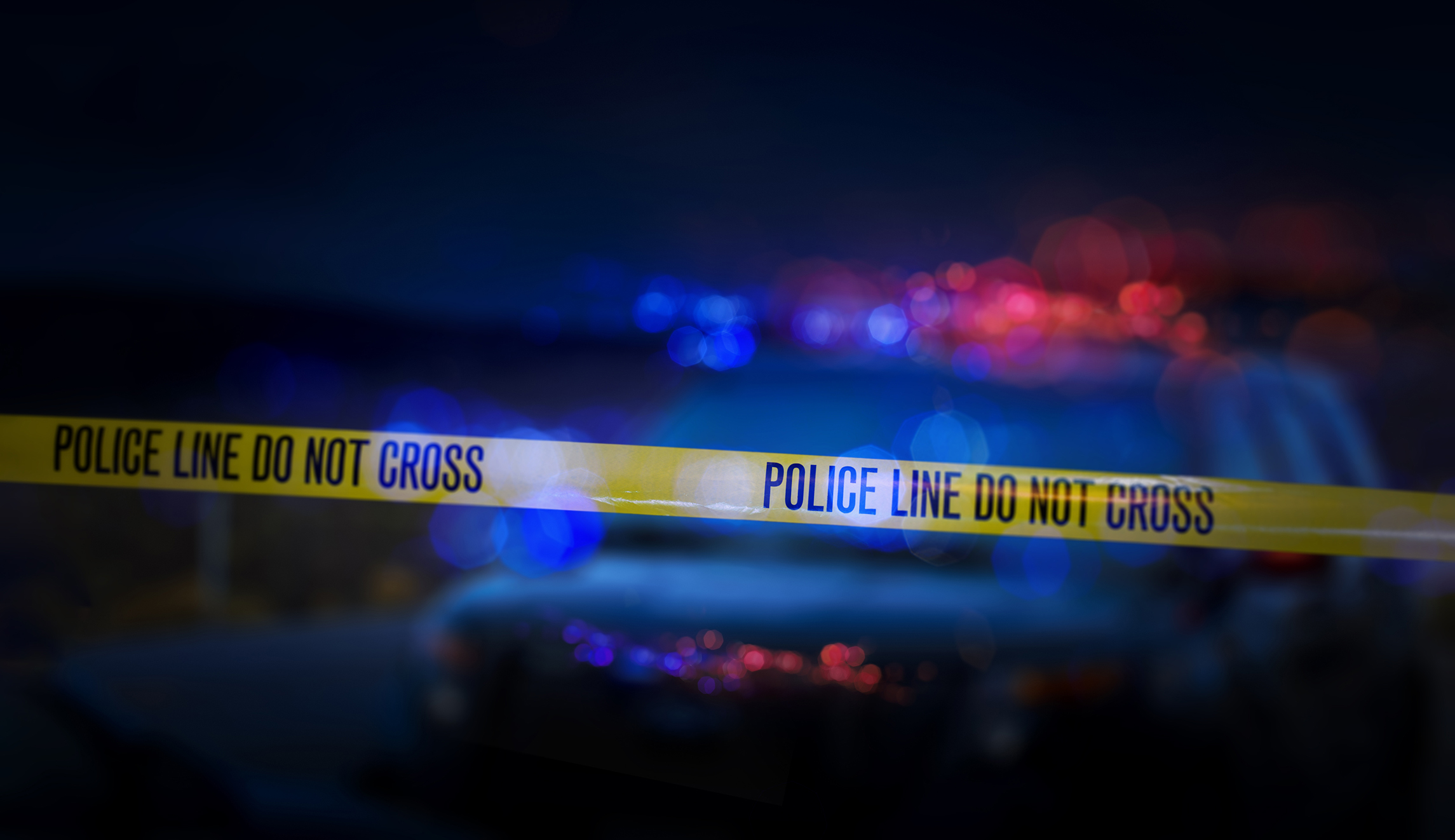 Twin brothers arrested in investigation into explosive-making plot