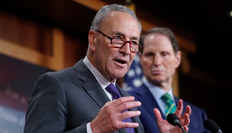 The Senate minority leader urged lawmakers to combine the two healthcare bills involving CHIP and Obamacare. (AP Photo/Pablo Martinez Monsivais)