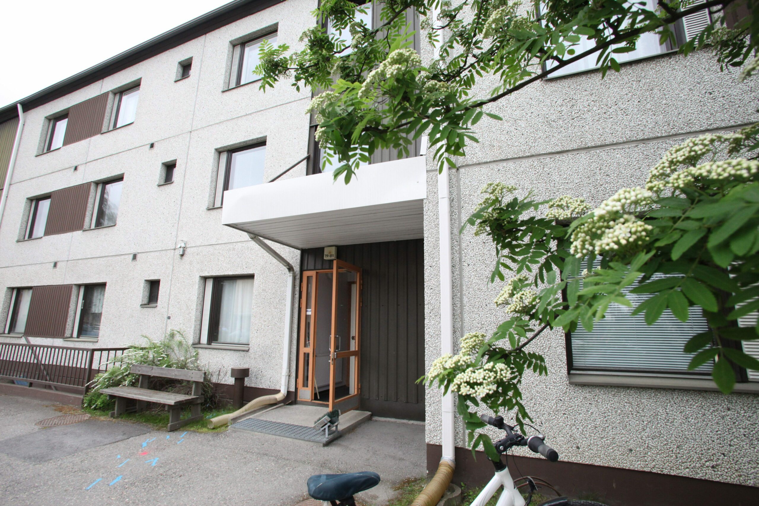 Finnish police find 5 dead babies in basement