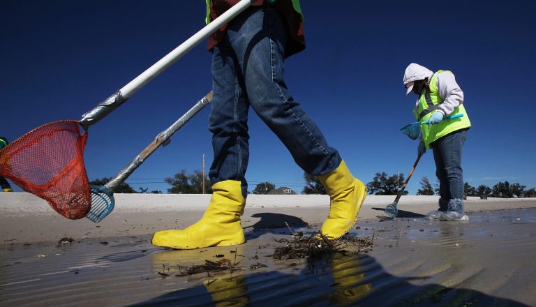 Workers clean tarballs from the BP oil spill on Waveland beach December 6, 2010 in Waveland, Mississippi. (Photo by Mario Tama/Getty Images)