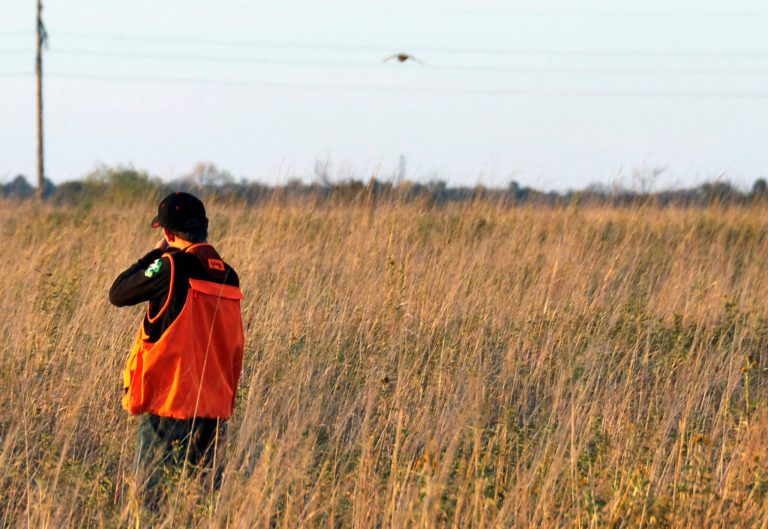 FILE - In this Oct. 7, 2012 file photo, 14-year-old Collin Cleveland, of Montrose, S.D., takes aim at a pheasant during the state's annual youth hunt on land near Tyndall, S.D. Higher bird numbers and a friendly weather forecast have pheasant hunters looking forward to the season's traditional opener on Saturday, Oct. 18, 2014. (AP Photo/Dirk Lammers, File)