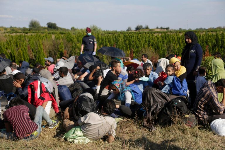 A group of migrants sits and waits to be escorted to a train after crossing a border from Croatia near the village of Zakany, Hungary, Wednesday, Sept. 23, 2015. (AP Photo)