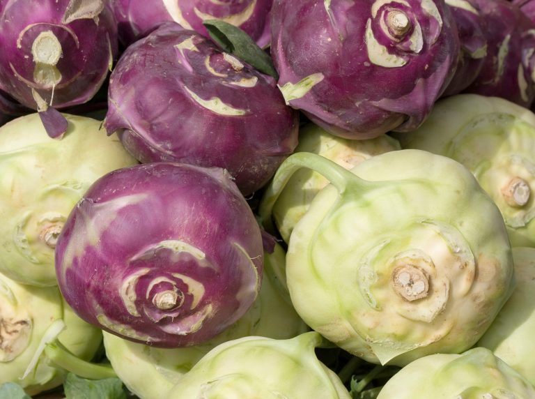 Food-safety regulation often ends up protecting the biggest players in the industry, crushing small and local businesses, sometimes undermining the goal of food safety.