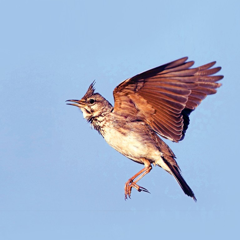 The Year’s at the Spring